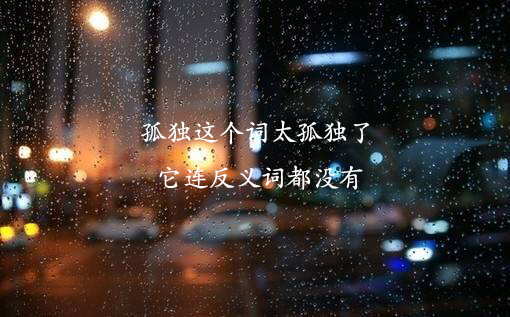 孤独的反义词是什么，孤独的反义词（孤独这个词太孤独了）