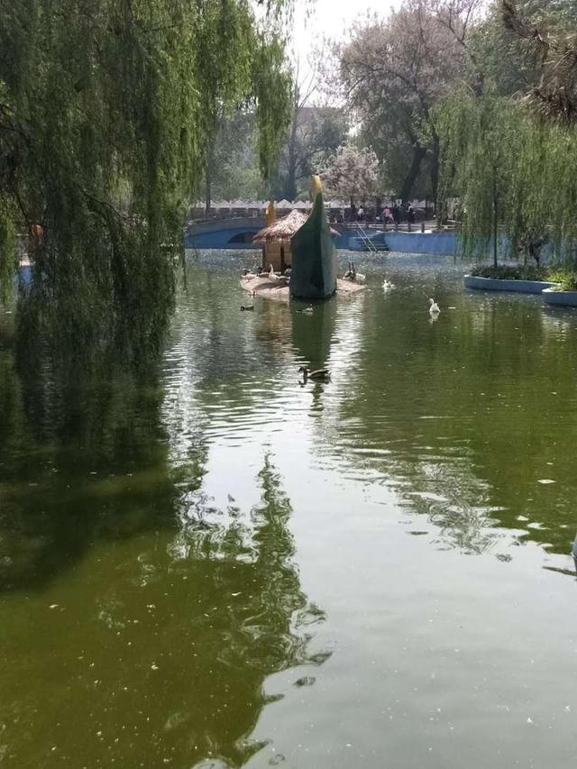 保定动物园里这几种动物特别有意思，保定市哪个动物园好玩（亲子逛吃逛吃逛吃~~）