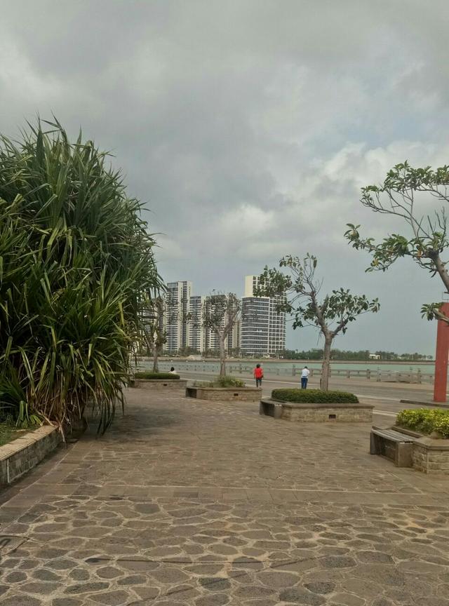 黑火药的主要成分，黑火药的成分