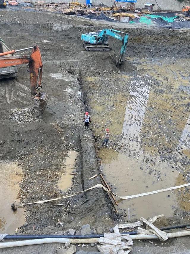 阴沉木市场价格，阴沉木价格！（40米阴沉木现身四川一工地）