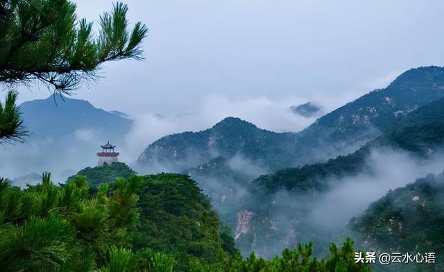 与顾章书原文及翻译，与顾章书（兴致高涨地写了一篇美文）