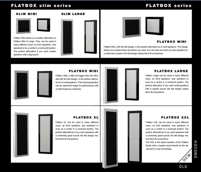 dls是什么意思，Flatmini