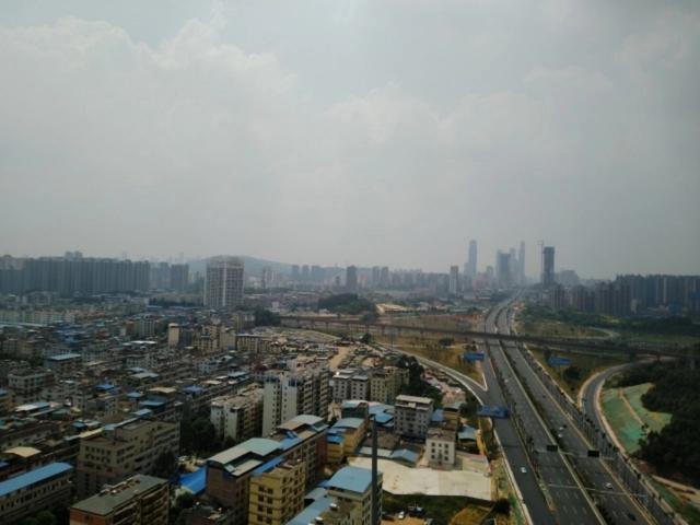 湛江的生蚝能运到东北吗，广东湛江生蚝的物流过程（，不通地铁的仙葫被抛弃了）