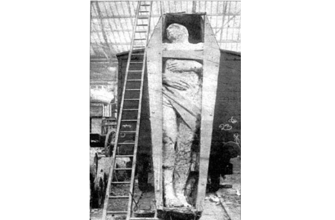 花的别称有哪几个，世界上最不可思议的十大骗局