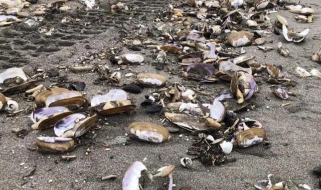 南非现在是什么季节，南非一年四季的气候如何（2021地球怎么了）