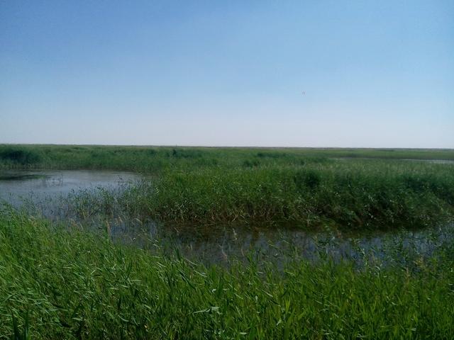 梦见自己拉了一大堆屎是什么预兆，梦见自己拉了一大堆屎是什么寓意（梦境笔记：在梦里行走）