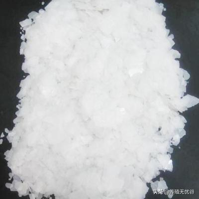 烧碱怎么使用，烧碱去油污怎么使用（火碱消毒注意事项，建议收藏）