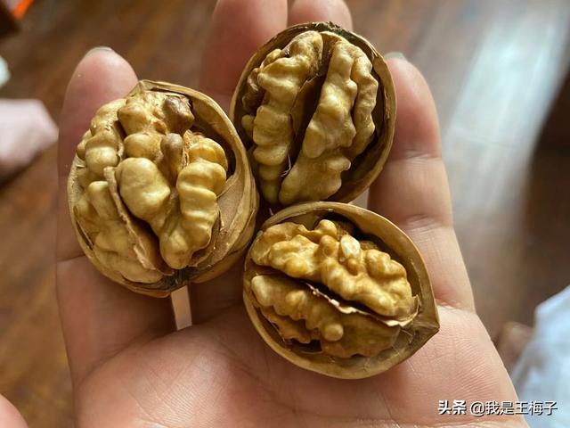 中国核桃四种最好品种，请认准这3个产地（核桃四大名品种）