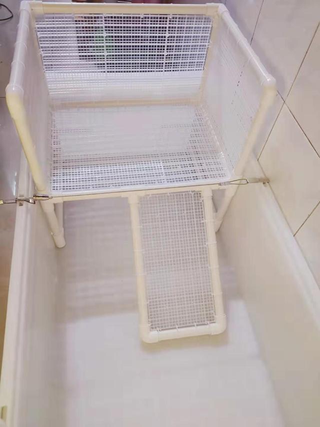 简易乌龟晒台做法，乌龟晒台自己做（给龟龟DIY一个晒台吧。超详细步骤）