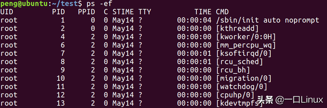 linux压缩命令，linux压缩命令gzip（Linux入门的基础知识点汇总）