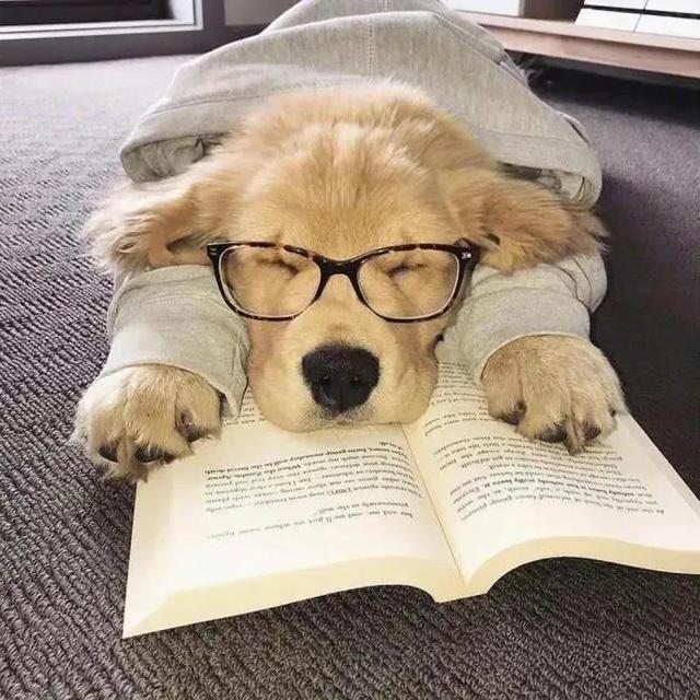 可爱的笑容，微信头像，可爱的笑容（单身狗子头像自拍）