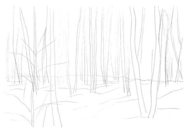 小树简笔画怎么画，小树的简笔画怎么画（教你三种常见树木画法）