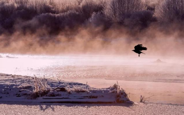 经典散文诗歌，经典散文诗歌朗诵大全小学生（六首催泪诗词：物是人非事事休）