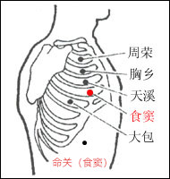 艾灸养生项目定价(艾灸养生项目有哪些)