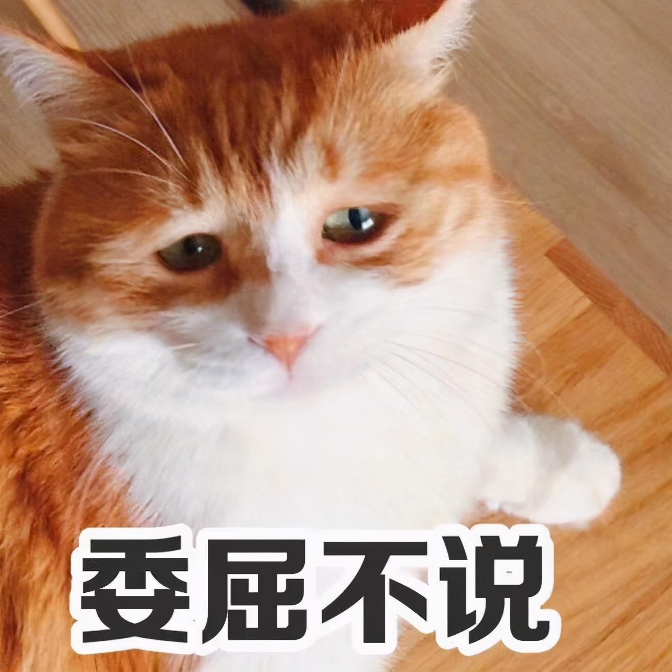 干什么能挣钱(没本钱干什么挣钱快)