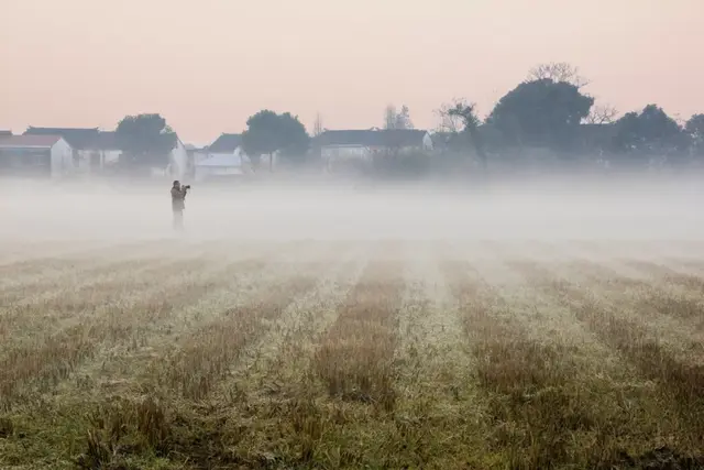 诗歌大全100首，诗歌大全100首 小学生四年级（每首不足100字）