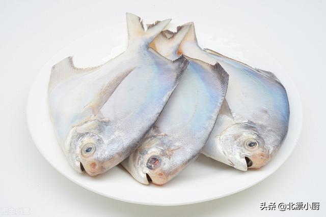 海鱼都有哪些，会吃的人专挑“7种海鱼”（十大最好吃的海鱼）