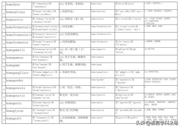 国民homo什么意思，homolive什么梗（总结了367个以hyper、240个以hypo前缀、106个以homo前缀的单词）