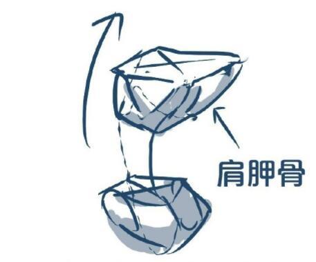 画人全身怎么画简单，超详细的身体绘制画法教程（画人全身怎么画简单古风）