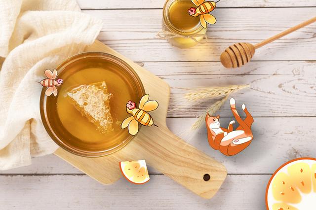 蜂胶的功效与作用，蜂胶十大排名（医生：有4大功效）