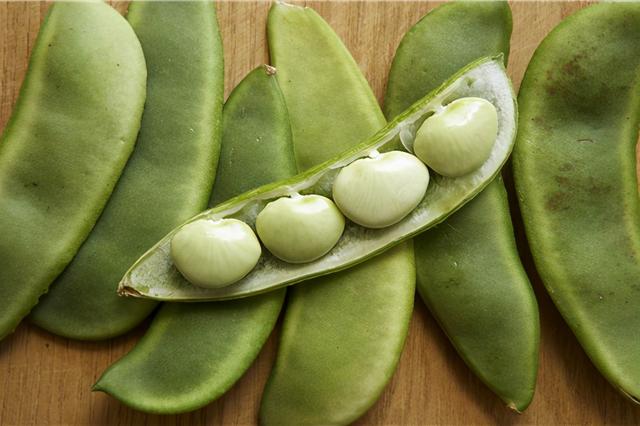 杂粮有哪些品种，粗粮都有什么（中国豆类大全）