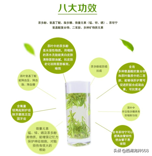 西湖龙井的功效，西湖龙井的功效与作用（喝龙井茶对身体有什么好处）