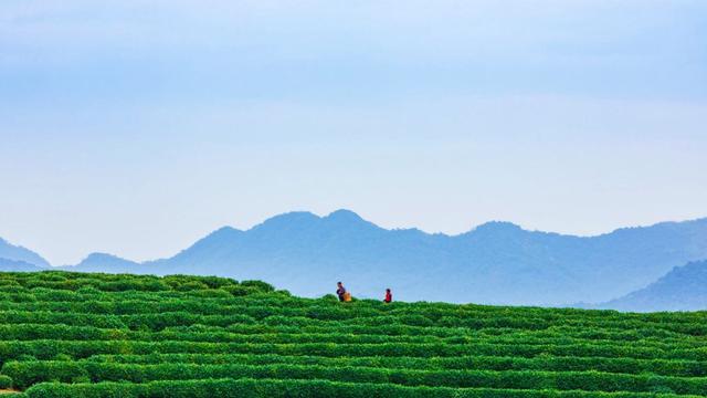 栅格化图层怎么操作，ps栅格化图层快捷键是什么（PPT大神居然也用了PS）