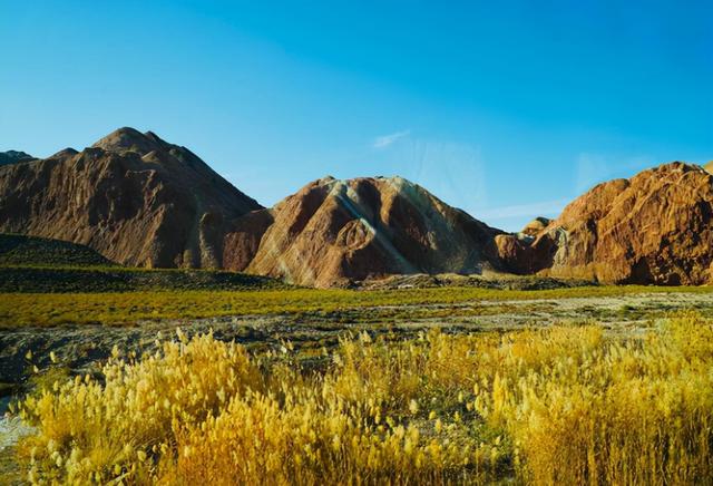 冬夜诗词，冬夜诗词原创（为爱深红似落花）