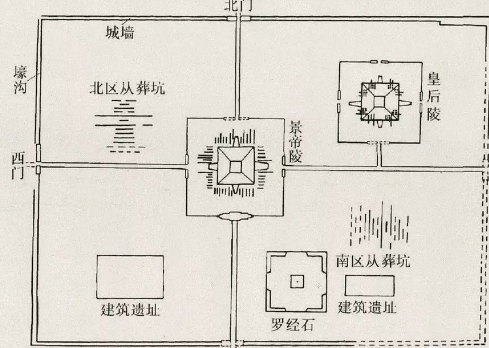 褐家鼠的祖先，汉景帝陵墓出土褐家鼠骨骼