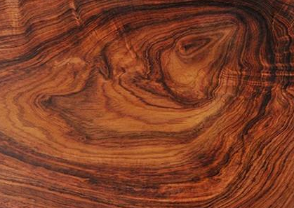 香枝木是海南黄花梨吗，海南黄花梨介绍（越南香枝木与海南香枝木有何区别）