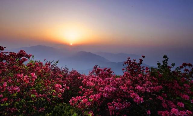 宏村在哪里，安徽宏村在哪里（宏村、西递等旅游景区恢复开放）