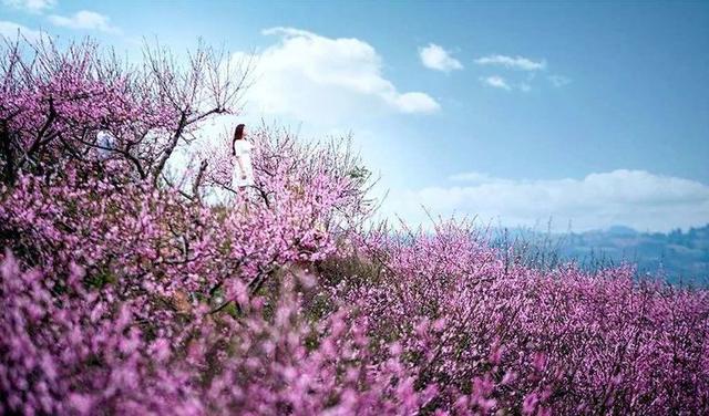 什么的天气填合适词语，什么样的天气形容词（下雨的天气）