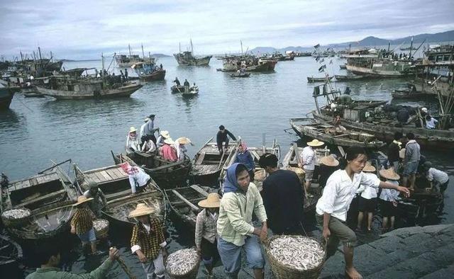 1981年属鸡人永远最旺的数字，1981年属鸡的幸运数字和颜色（时光记忆：1981年的中国）