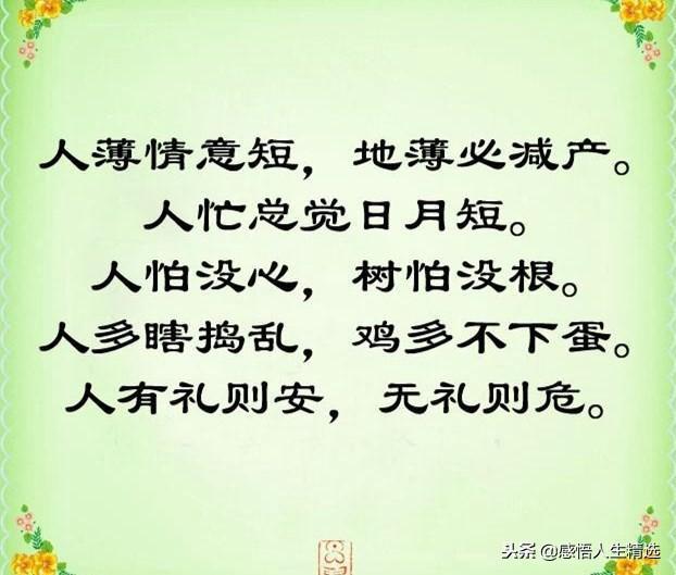 人无千日好花无百日红是什么意思，人无千日好花无百日红什么意思（人无千日好，花无百日红）