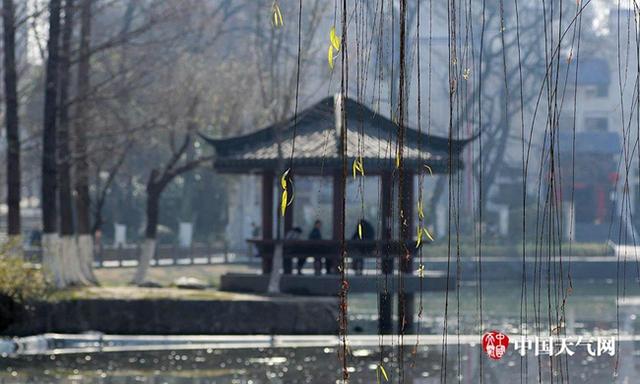 数九寒冬的数是什么意思，数九严寒数的意思（大数据告诉你数九都有啥讲究）