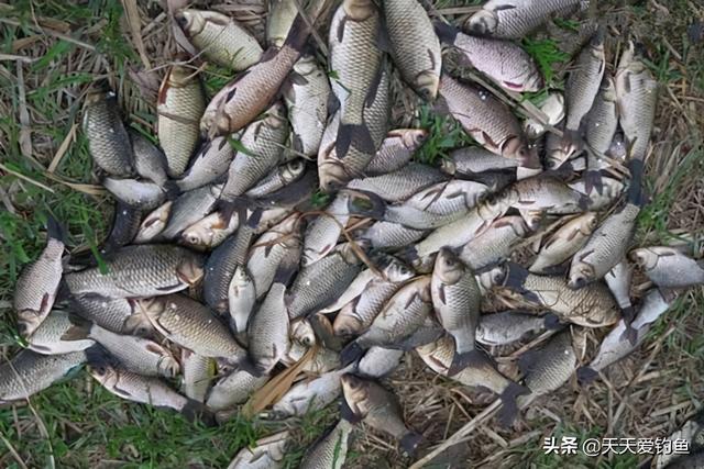 冬季钓鱼技巧 六个不钓教你在冬季如何钓鱼，冬季钓鱼技巧（冬季钓不到鱼未必是天冷）