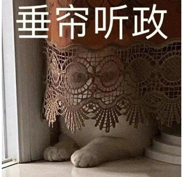 一对可爱狗狗表情包图集，情侣专用狗狗猫猫可可爱爱沙雕表情包