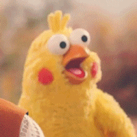 半年抛是什么意思，隐形眼镜半年抛是什么意思（千万不要这样戴美瞳）