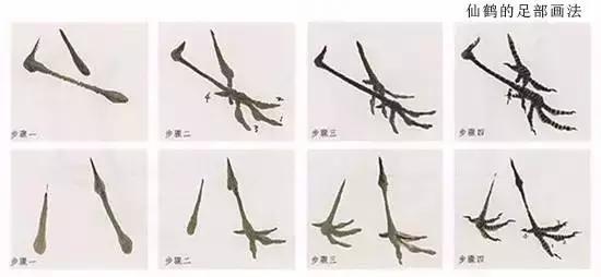 詹仁左写意鸟的画法，国画教程：写意仙鹤画法