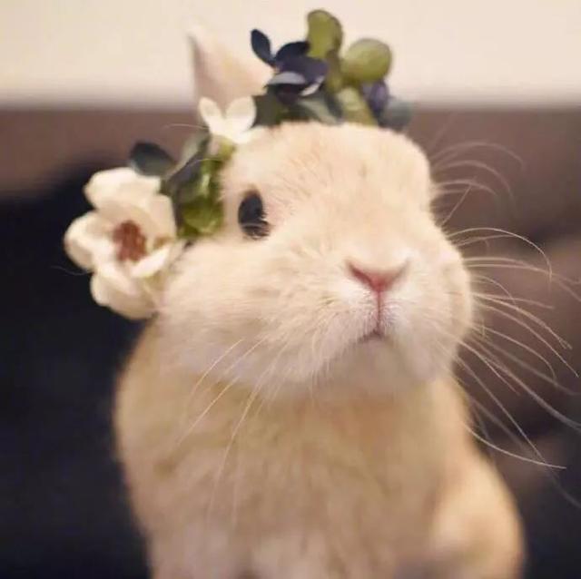 孔刘表情包！！！太帅了，微信头像，孔刘表情包！！！太帅了（我们从你的微信头像）