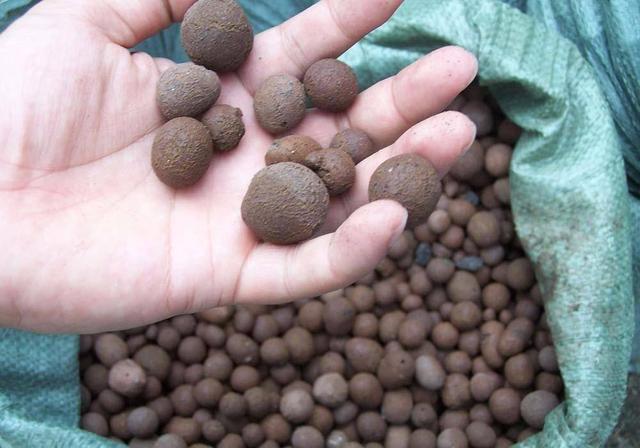 养花的花盆上的陶粒有什么作用，花盆里放的陶粒起什么作用（在盆底垫了一点“硬东西”）