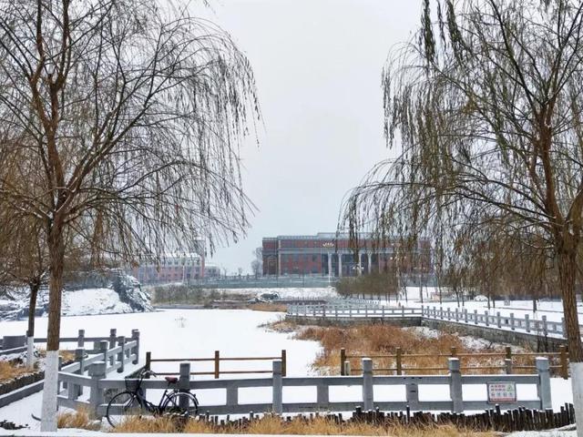 渤海大学是211吗，渤海大学是什么大学（辽宁省普通高等院校）