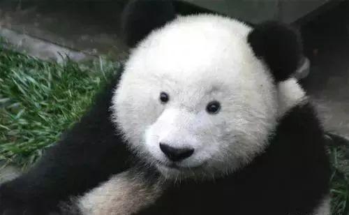 博士伦官网价格，别让廉价美瞳毁了你