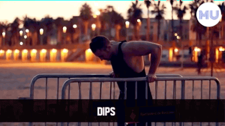 健体和健美的区别，健体训练和健美训练的区别（健美、街健、健体...原来健个身还有鄙视链啊）