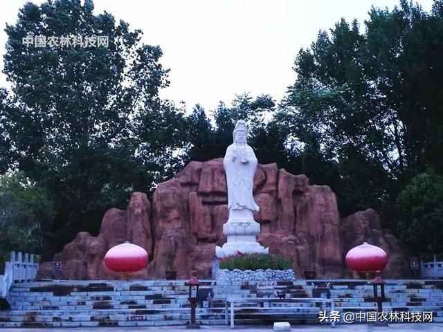 汤峪温泉冬季营业吗营业时间呢，汤峪温泉过年营业么（暂时停下忙碌的脚步）