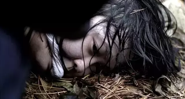 杀人回忆凶手是谁，《杀人回忆》凶手是谁（《杀人回忆》的凶手终于被找到了）