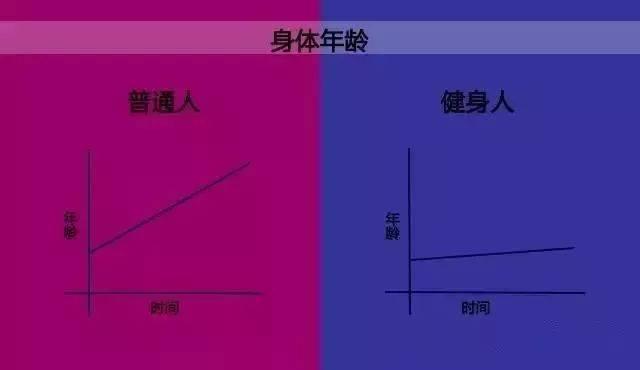 游泳和瑜伽哪个更抗衰老，女人游泳和瑜伽哪个好（哪一项更能延缓衰老）