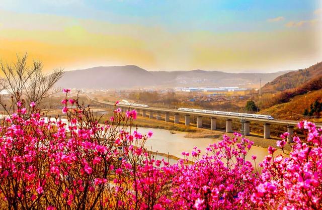 硬座是什么意思，硬座和硬卧的区别（G、D、C、Z、T、K、L、Y）