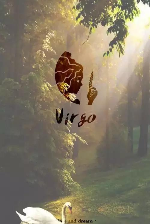 allen英文名什么意思，Allen英文名什么意思（你适合什么样的英文名）