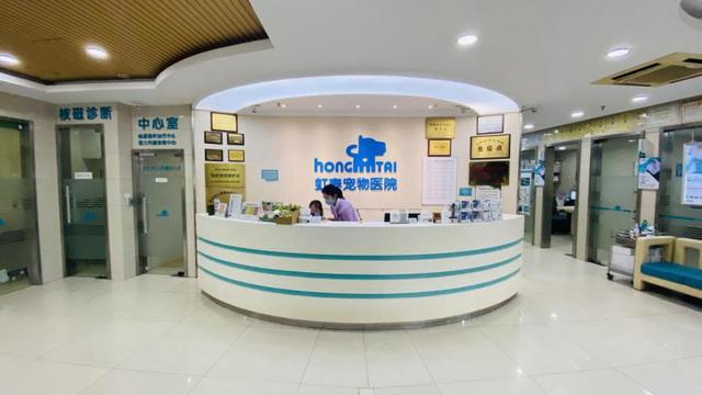 哈尔滨宠物医院，十大哈尔滨宠物医院排名（瑞派宠物医院告诉你最牛医院的正确打开方式）